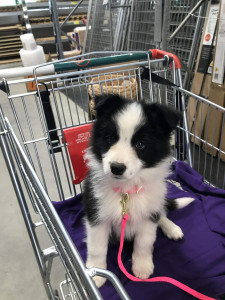 First Trip Out